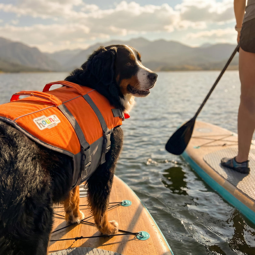 Outward Hound Granby Splash Dog Life Jacket with Handle, Reflective Floating Vest for Swimming & Boating, Maximum Buoyancy, All Skill Levels, Extra-Large Dogs (33–44