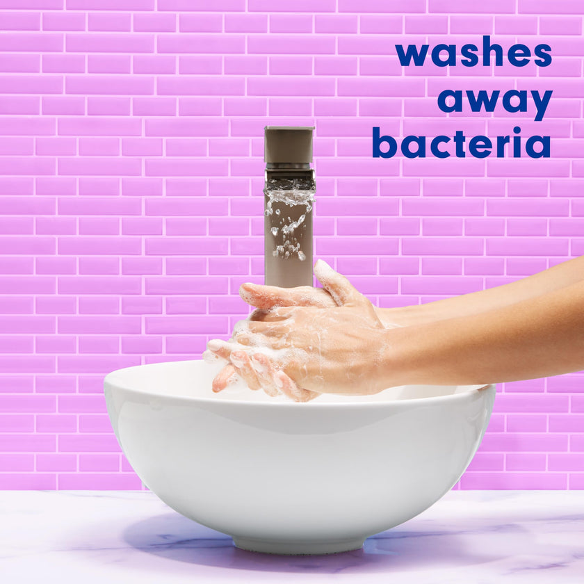 Softsoap Liquid Hand Soap, Lavender and Shea Scent, 332 mL (6 Pack) 🍁 All In One Marketplace Canada