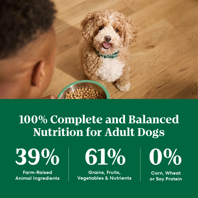 Nutro Natural Choice Adult Dry Dog Food, Lamb Flavour, 2.27kg 🍁 All In One Marketplace Canada