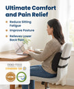 Everlasting Comfort Lumbar Support Pillow for Office Chair - Memory Foam Back Cushion for Car Seat - Promotes Better Posture, Back Pain Relief - Ideal Gaming and Desk Chairs Work and Home Essentials 🍁 All In One Marketplace Canada