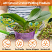 Riare 2L Orchid Potting Mix for Repotting- Orchids Repotting Kit Include Moss, Pine Bark, Perlite, Coco Peat- Premium Orchid Soil Medium for Indoor Potted Plants Root Ventilation & Expanding 🍁 All In One Marketplace Canada
