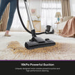 Eureka Bagless Canister Vacuum for Carpets and Hard Floors, Powerful Lightweight Vacuum Cleaner with Large Dust Cup Extension Tube 2-in-1 Crevice Tool Floor Nozzle, White, NEN121WH w/ 1100W High Power 🍁 All In One Marketplace Canada