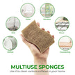 AIRNEX 12 Pack Natural Sponges for Dishes - Biodegradable Sponges for Kitchen - Plant Based Cellulose & Coconut Natural Dish Sponge - Non Toxic Eco Friendly Sponges, Non Scratch Kitchen Scrubber 🍁 All In One Marketplace Canada