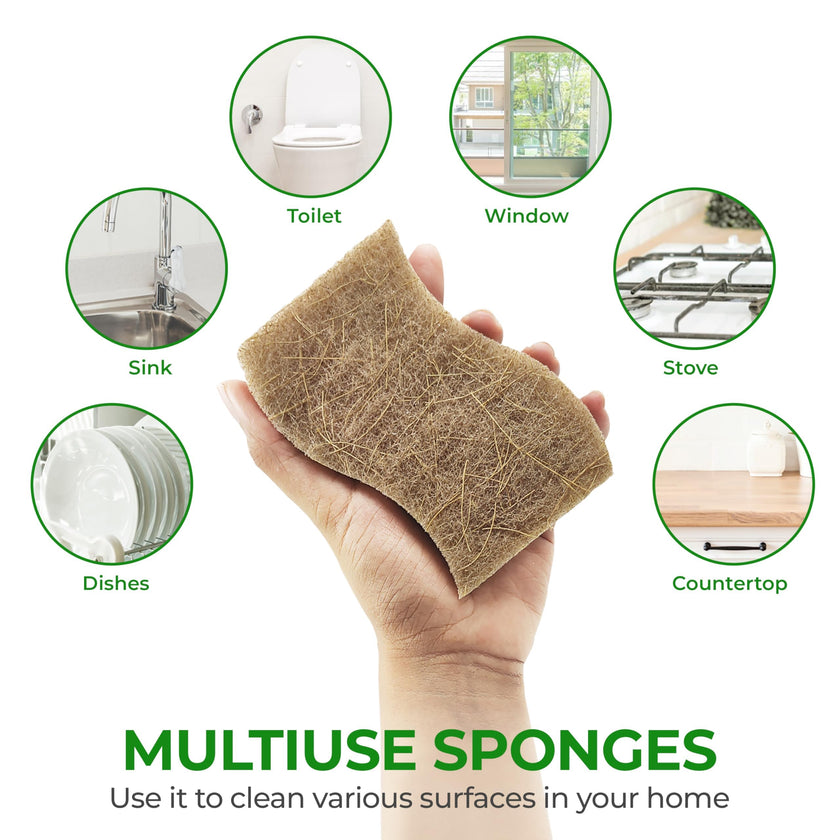 AIRNEX 12 Pack Natural Sponges for Dishes - Biodegradable Sponges for Kitchen - Plant Based Cellulose & Coconut Natural Dish Sponge - Non Toxic Eco Friendly Sponges, Non Scratch Kitchen Scrubber 🍁 All In One Marketplace Canada