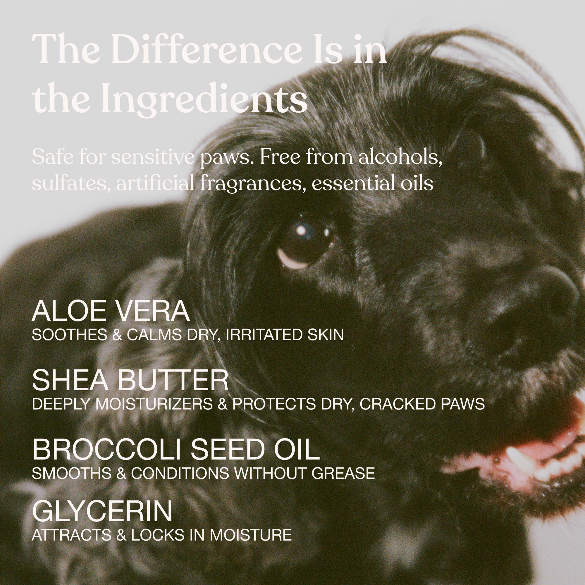 Dandylion Dog Paw Balm, Soft Paws, Paw Moisturizer for Dogs, Dog Lotion with Brush, Fragrance Free pH Balanced Lotion for Paws, Lightweight Moisture for Dry Cracked Paw Pads and Nose, 0.6 fl oz 🍁 All In One Marketplace Canada