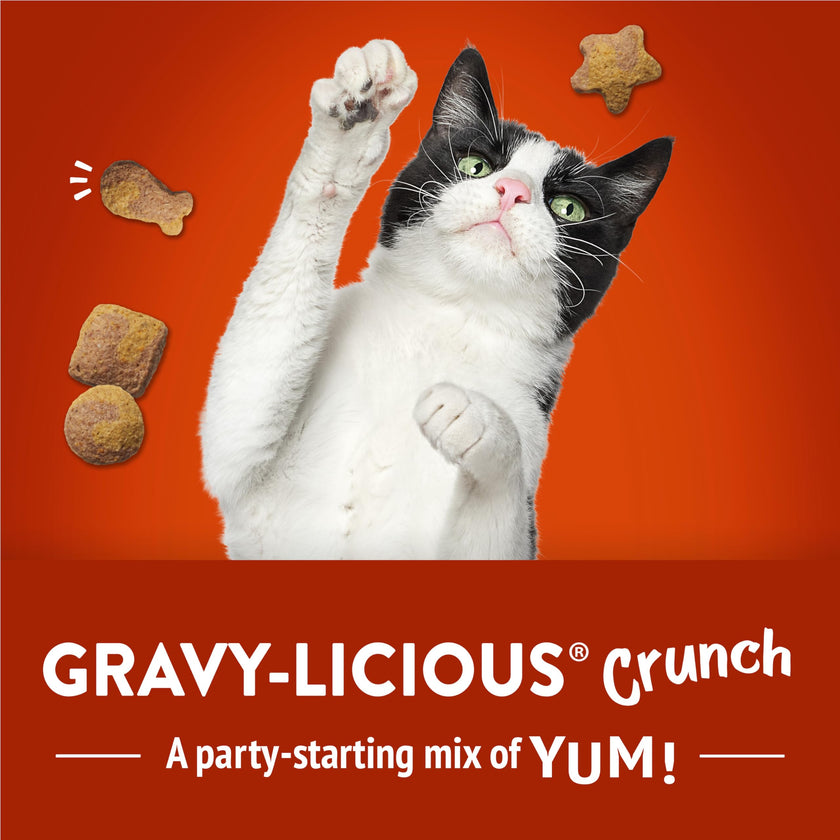 Friskies Party Mix Cat Treats, Gravy-Licious Crunch Chicken 510g (3 Pack) 🍁 All In One Marketplace Canada