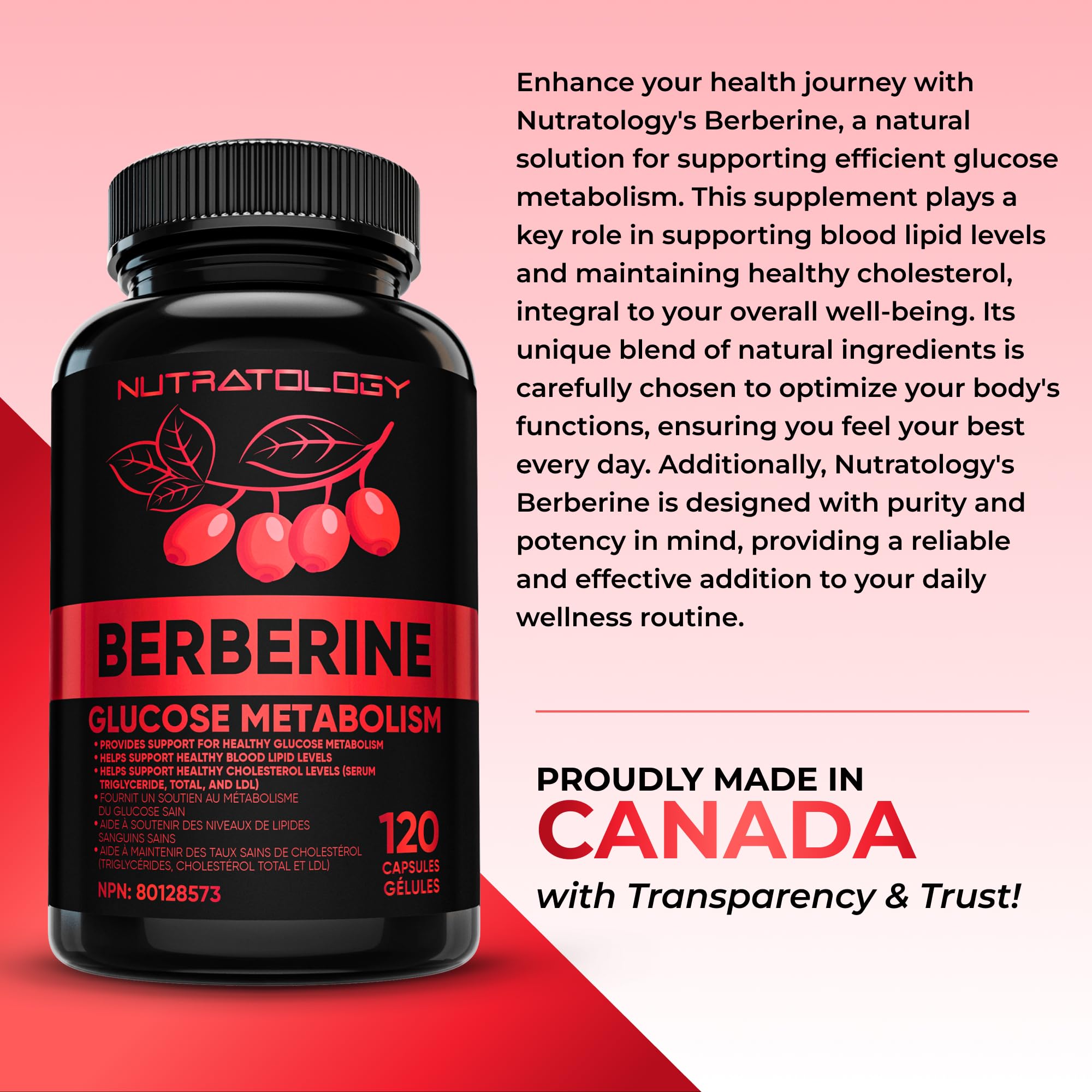 Nutratology® Berberine Supplement | Canadian-Made | Max Potency 500MG Per Capsule - Supports Glucose Metabolism & Healthy Blood Sugar Levels Through Efficient Metabolism Of Sugar & Fats - 120 Capsules 🍁 All In One Marketplace Canada