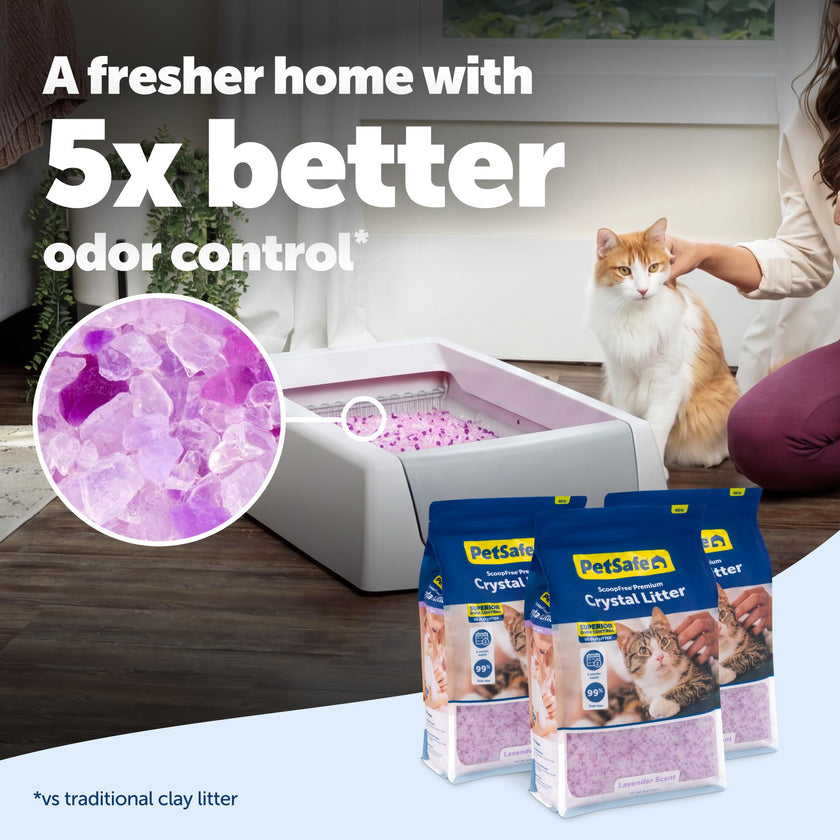 PetSafe ScoopFree Premium Lavender Crystal Cat Litter, 3-Pack – Lightly Scented Litter – Superior Odor Control – Low Tracking for Less Mess – Lasts Up to 6 Months, 24 lb Total (3 Pack of 8 lb Bags) 🍁 All In One Marketplace Canada