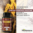 Nutravonic Berberine Supplements 1000mg Per Serving, 500mg Per Capsule | Made in Canada I Supports Healthy Glucose & Lipid Metabolism | Non-GMO, Vegan, Gluten-free, 120 Easy-to-Swallow Capsules 🍁 All In One Marketplace Canada