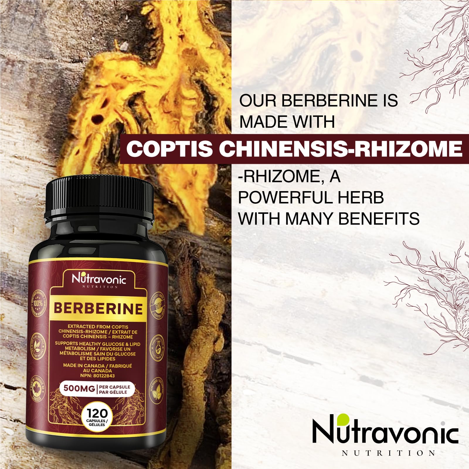 Nutravonic Berberine Supplements 1000mg Per Serving, 500mg Per Capsule | Made in Canada I Supports Healthy Glucose & Lipid Metabolism | Non-GMO, Vegan, Gluten-free, 120 Easy-to-Swallow Capsules 🍁 All In One Marketplace Canada