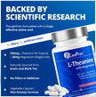 CanPrev L-Theanine with Magnesium, 90 Capsules 90-Day Supply - Promote Relaxation and Calmness - Without Drowsiness - Synergistic Blend for Well-being Management - Vegan, Non-GMO and Gluten-Free 🍁 All In One Marketplace Canada