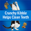 Friskies Party Mix Cat Treats, Ocean Crunch Ocean Whitefish 510g (3 Pack) 🍁 All In One Marketplace Canada