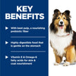 Hill's Science Diet Adult Sensitive Stomach & Skin Chicken Recipe Dry Dog Food 13.6 kg Bag 🍁 All In One Marketplace Canada