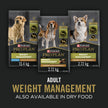 Purina Pro Plan Weight Management Wet Dog Food, Classic Turkey & Rice Entree - 368 g Can (12 Pack) 🍁 All In One Marketplace Canada