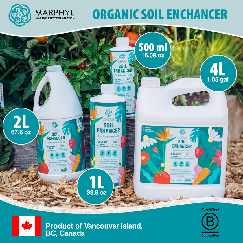 MARPHYL All-Purpose Plant Food – Organic Nutrient-Rich Fertilizer & Soil Enhancer for Indoor & Outdoor Flowers, Vegetables, Succulents, Bamboo & Hydroponics 🍁 All In One Marketplace Canada