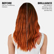 Wella Professionals Invigo Brilliance Shampoo for Fine/Normal Coloured-Treated Hair, Salon Shampoo, Hair Cleanser, Colour Safe, Daily Wash, Lime Caviar, Intense Colour Protection | 33.8 Fl Oz | 1L 🍁 All In One Marketplace Canada