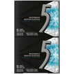 5 GUM, Wintermint-Ascent Flavoured Sugar Free Chewing Gum, 15 Sticks, 10 Packs 🍁 All In One Marketplace Canada