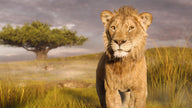 Mufasa: The Lion King - Blu-Ray/DVD