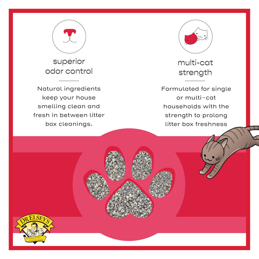 Precious Cat Cat Attract Problem Cat Training Litter, 40 Pound Bag 🍁 All In One Marketplace Canada