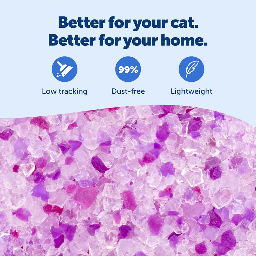 ScoopFree Premium Lavender Scent Crystal Litter, Superior Odor Control, Absorbs 5X Faster, Low Tracking for Less Mess, Lasts up to 2 Months, Lightly Scented (8 lb Bag) 🍁 All In One Marketplace Canada