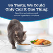 Blue Buffalo Tastefuls Salmon & Brown Rice Recipe Dry Indoor Cat Food for Adult Cats, Real Salmon First, Deliciously Healthy Natural Cat Food, Supports Digestive Care and Coat Health, 3.1kg Bag 🍁 All In One Marketplace Canada