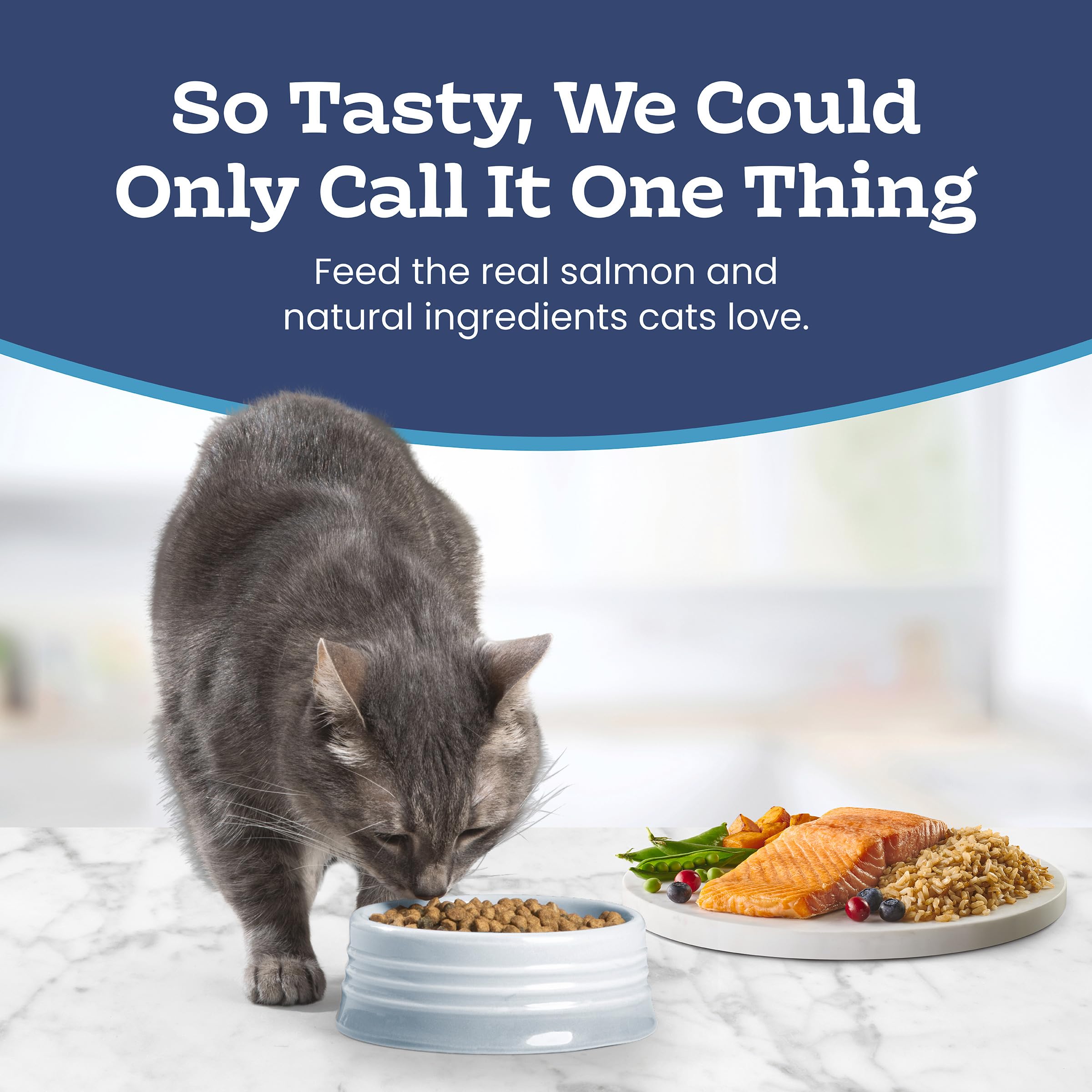 Blue Buffalo Tastefuls Salmon & Brown Rice Recipe Dry Indoor Cat Food for Adult Cats, Real Salmon First, Deliciously Healthy Natural Cat Food, Supports Digestive Care and Coat Health, 3.1kg Bag 🍁 All In One Marketplace Canada