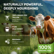 Beef Tallow Face Cream – Grass Fed Whipped Tallow and Honey Balm for Skin, Body Moisturizer with Beeswax and Wild Honey, 3-Ingredient Fragrance Free Non Comedogenic Skincare for Dry Sensitive Skin 🍁 All In One Marketplace Canada
