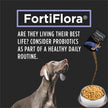 Purina Pro Plan Veterinary Supplements Fortiflora Powdered Dog Probiotics - 30 g sachets (Pack of 30) 🍁 All In One Marketplace Canada