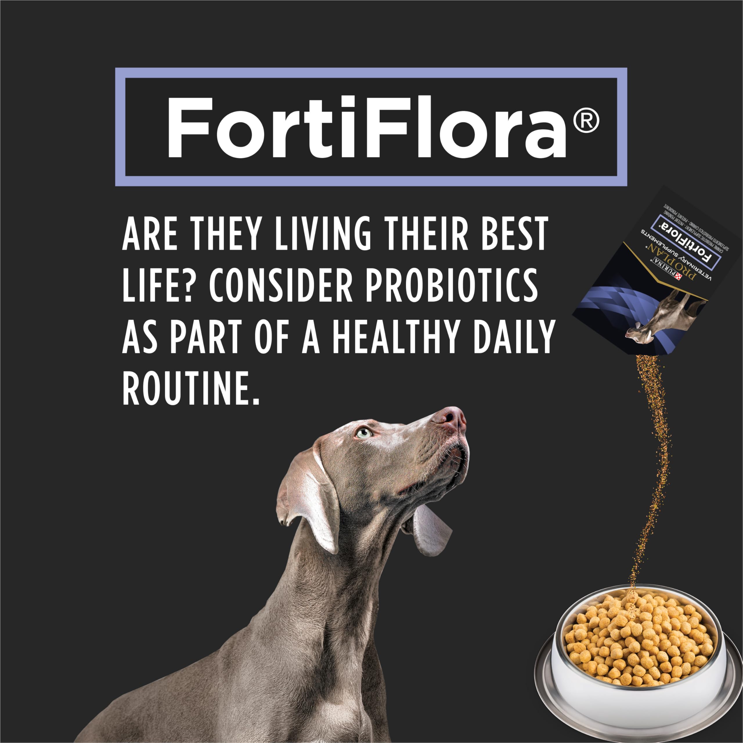 Purina Pro Plan Veterinary Supplements Fortiflora Powdered Dog Probiotics - 30 g sachets (Pack of 30) 🍁 All In One Marketplace Canada