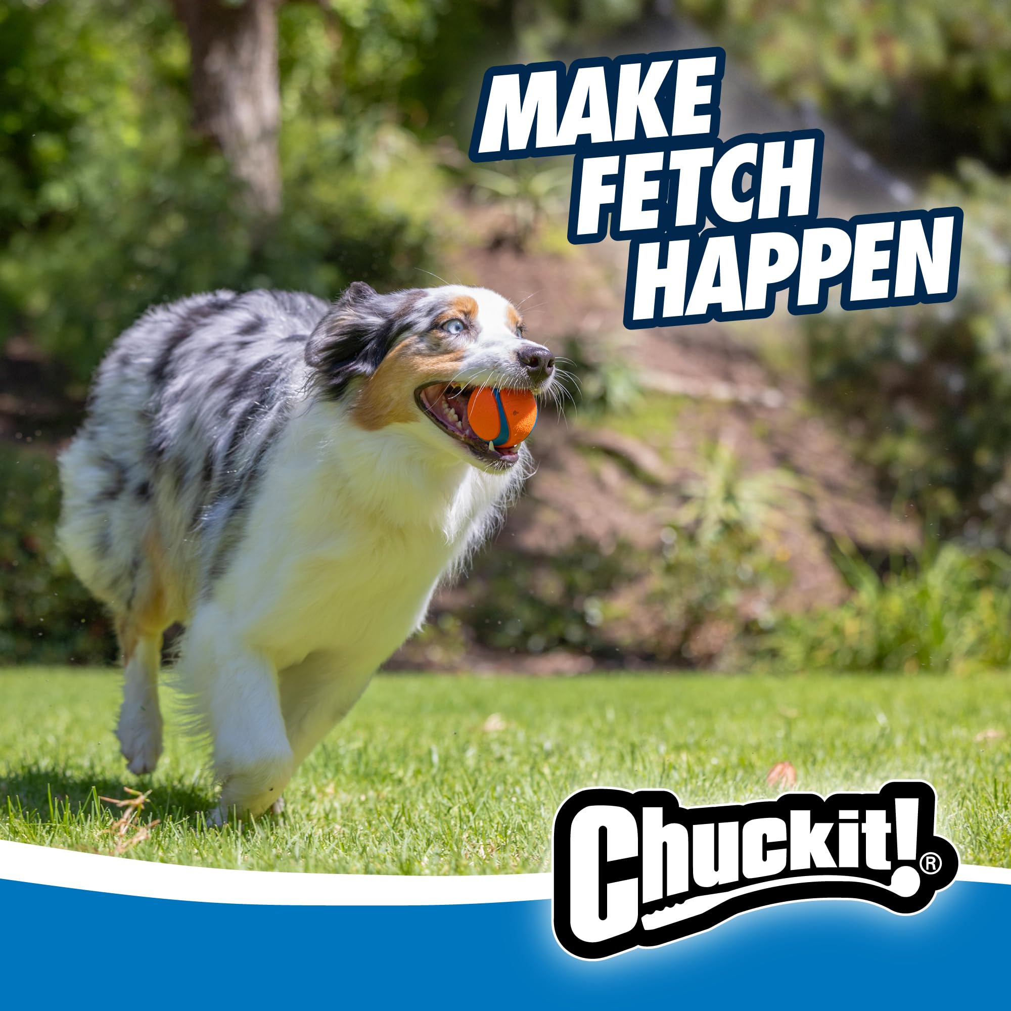 Chuckit! Fetch Ball Medley, Medium, Dog Ball, 3 Pack, Ultra, Fetch and Rugged Balls Included 🍁 All In One Marketplace Canada