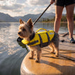 Outward Hound Granby Splash Dog Life Jacket with Handle, Reflective Floating Vest for Swimming & Boating, Maximum Buoyancy, All Skill Levels, Extra-Small Dogs & Puppies (11–15