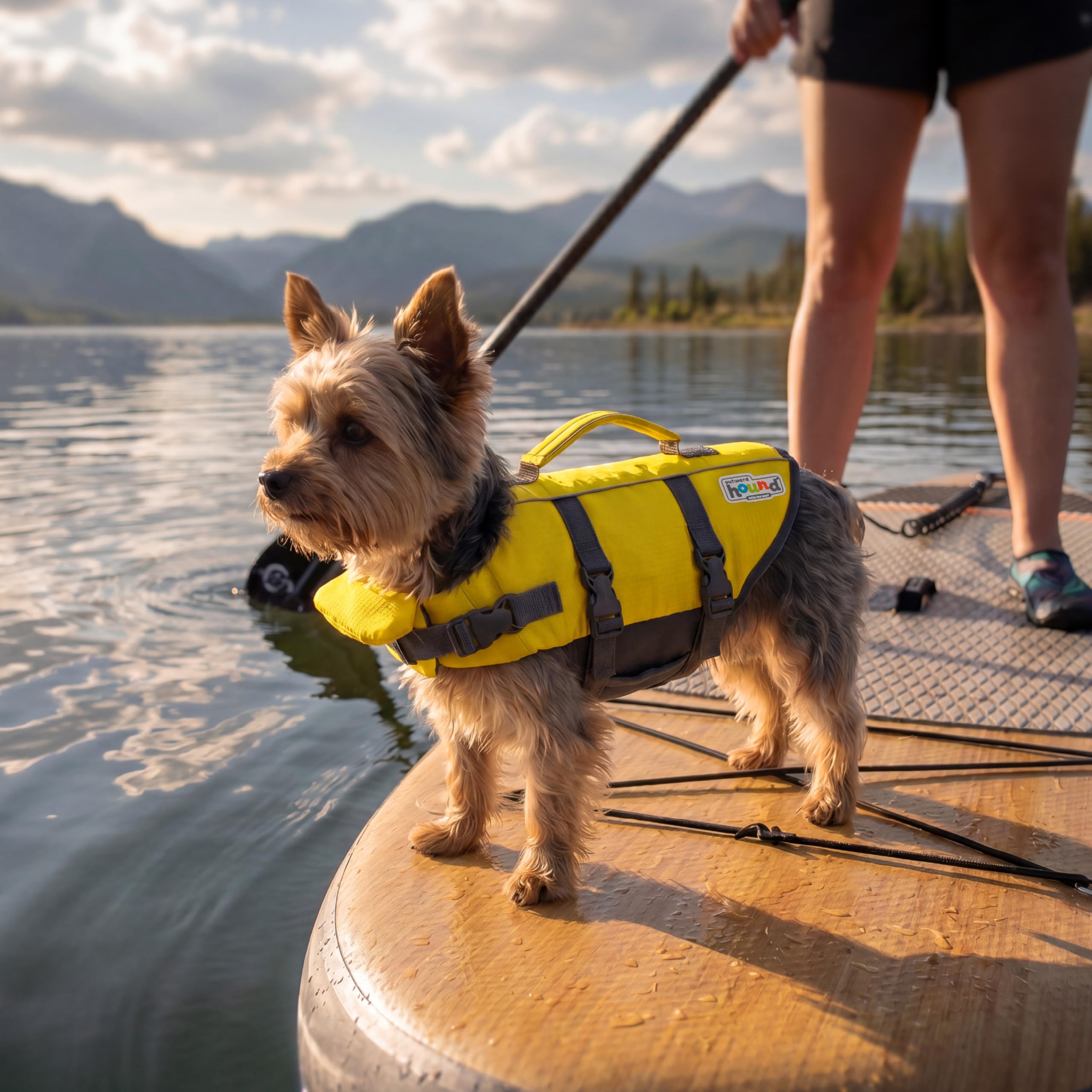 Outward Hound Granby Splash Dog Life Jacket with Handle, Reflective Floating Vest for Swimming & Boating, Maximum Buoyancy, All Skill Levels, Extra-Small Dogs & Puppies (11–15