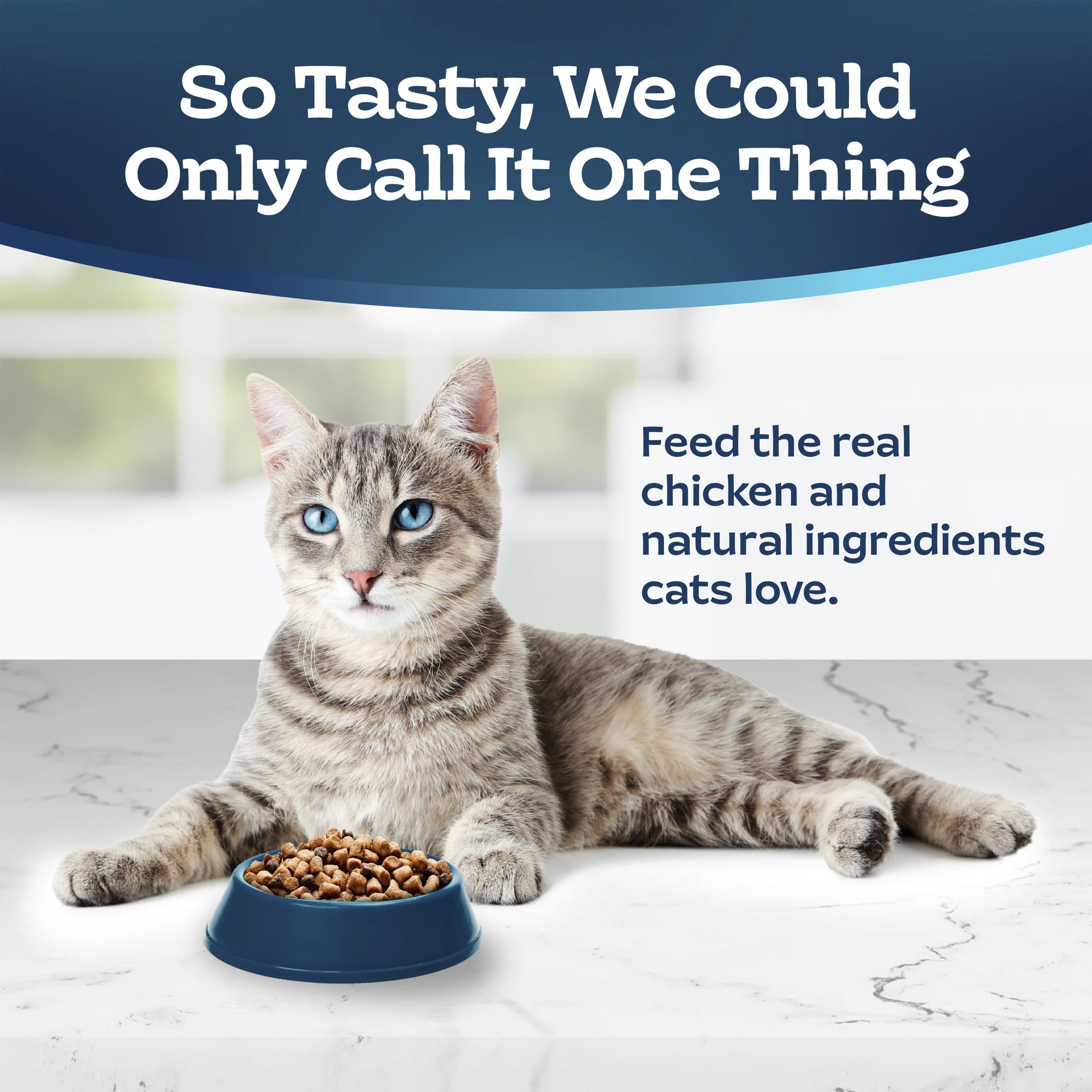 Blue Buffalo Tastefuls Chicken & Brown Rice Recipe Adult Dry Cat Food Hairball Control, Real Chicken First, Deliciously Healthy Natural Cat Food, Supports Digestive Care and Coat Health, 3.1kg Bag 🍁 All In One Marketplace Canada