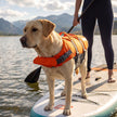 Outward Hound Granby Splash Orange Dog Life Jacket, Large 🍁 All In One Marketplace Canada