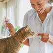 INABA Premium Grilled Tuna Fillet Cat Treats with Vitamin E and Green Tea Extract, 14.7 Grams Each, Pack of 10, Variety Box 🍁 All In One Marketplace Canada