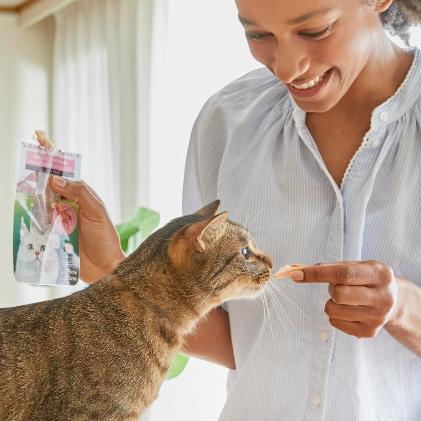 INABA Premium Grilled Tuna Fillet Cat Treats with Vitamin E and Green Tea Extract, 14.7 Grams Each, Pack of 10, Variety Box 🍁 All In One Marketplace Canada