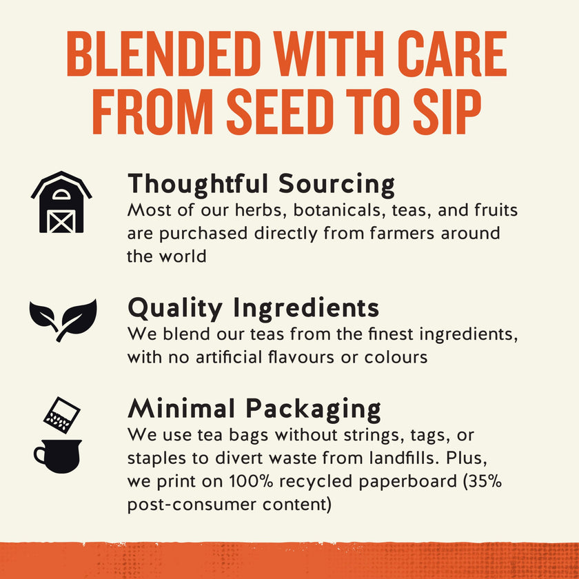 Celestial Seasonings Bengal Spice Herbal Tea, Caffeine Free, 20 Tea Bags Box, 6-Pack 🍁 All In One Marketplace Canada