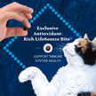 Blue Buffalo Wilderness with Chicken Natural High-Protein Grain-Free Dry Kitten Food, Real Chicken First, Antioxidant-Rich LifeSource Bits Support Immunity, DHA & ARA for Development, 2.2kg/5 lbs. 🍁 All In One Marketplace Canada