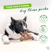 Benebone Wishbone Durable Dog Chew Toy for Aggressive Chewers, Real Bacon, Made in USA, Medium 🍁 All In One Marketplace Canada