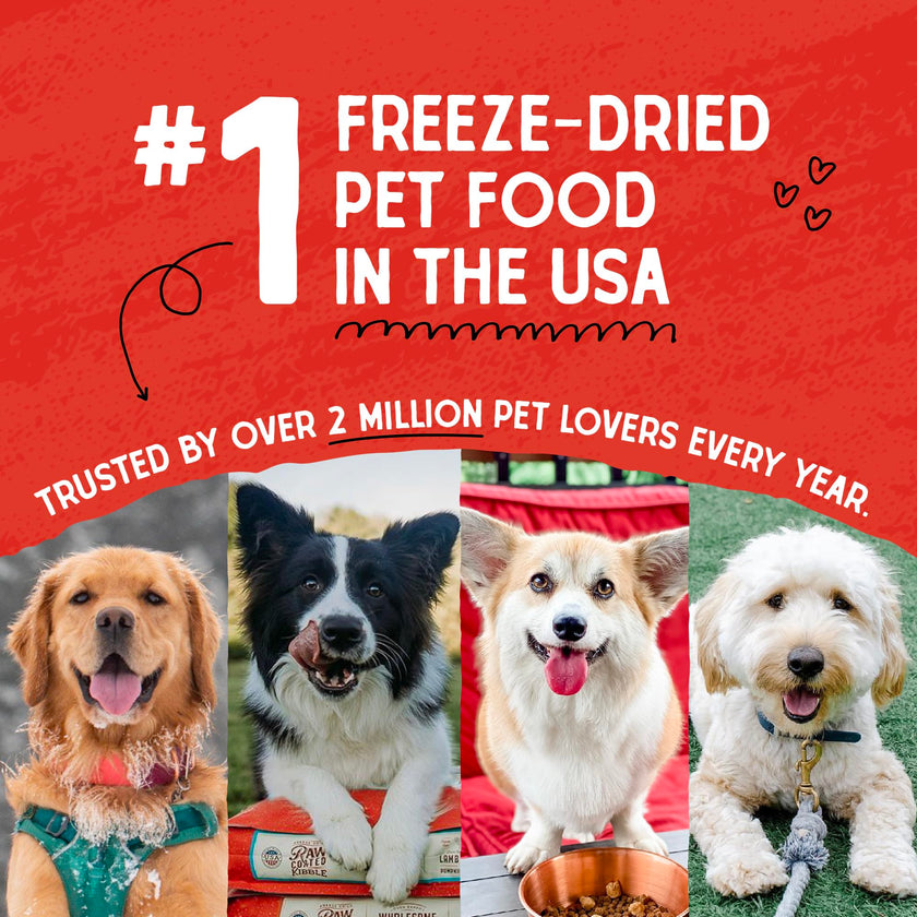 Stella & Chewy’s Freeze Dried Raw Dinner Patties – Grain Free Dog Food, Protein Rich Chewy’s Chicken Recipe – 708g Bag 🍁 All In One Marketplace Canada