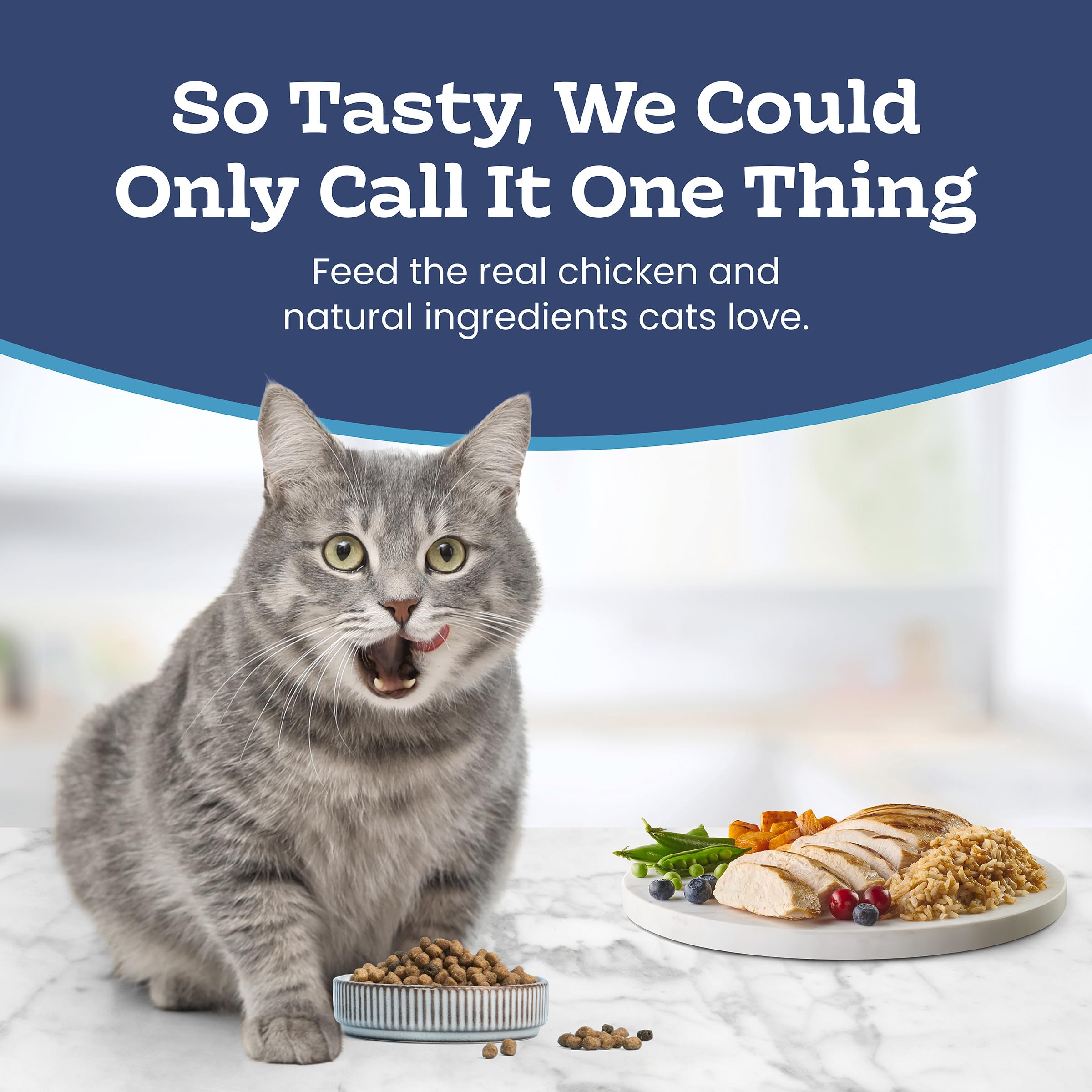 Blue Buffalo Tastefuls Chicken & Brown Rice Recipe Mature Dry Cat Food for Adult Cats 7+, Real Chicken First, Deliciously Healthy Natural Senior Cat Food with Fish Oil & Natural Ingredients, 3.1kg 🍁 All In One Marketplace Canada