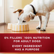 Purina ONE True Instinct Wet Dog Food, Ground Turkey & Venison (12 Pack) 🍁 All In One Marketplace Canada