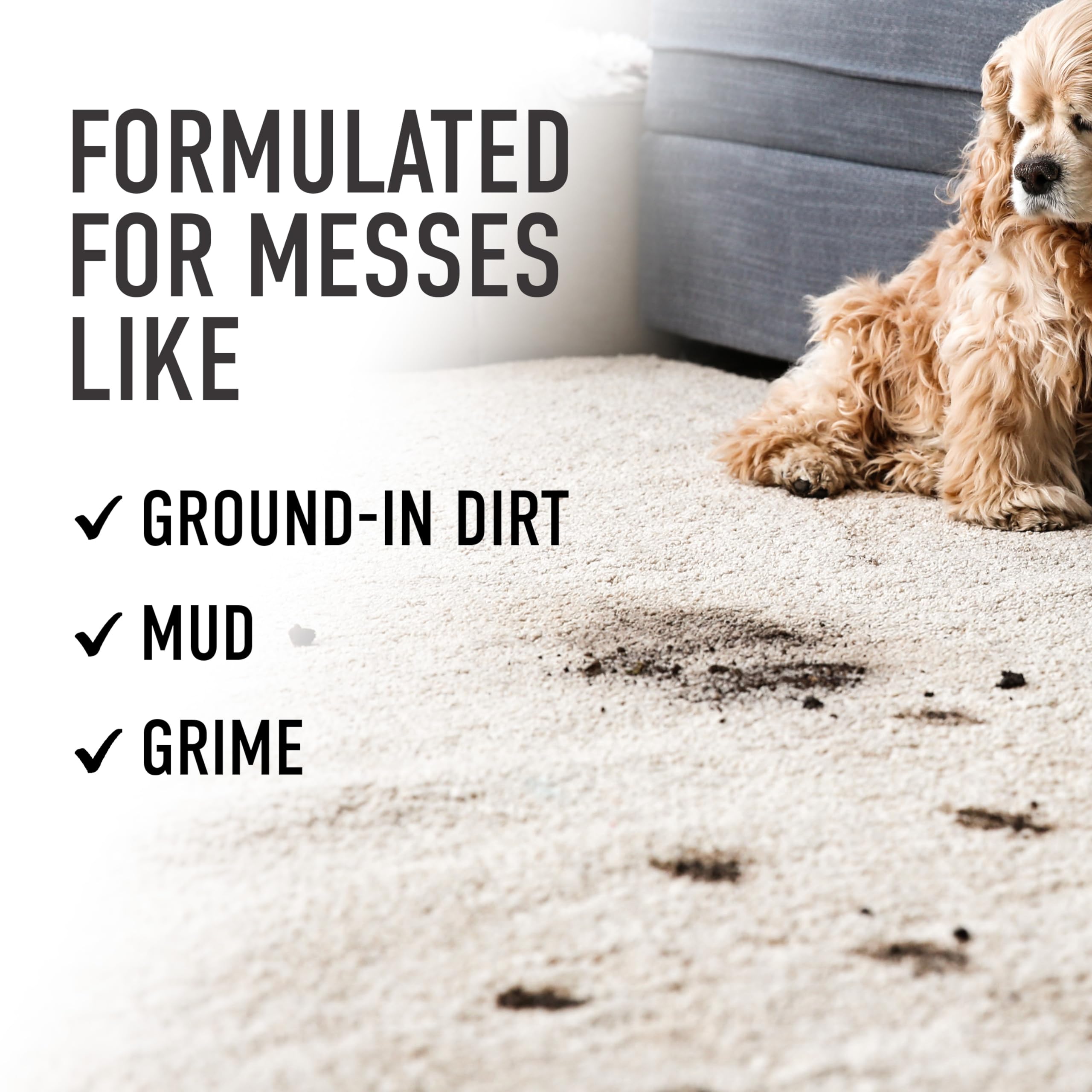 Hoover Prime Professional Carpet Cleaner Solution, 64 oz., Ocean Breeze Scent, Powerful Carpet Shampoo Solution, Remove Tough Stains from Carpet and Upholstery, Pair with Hoover Carpet Cleaner Machine 🍁 All In One Marketplace Canada