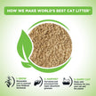 WORLD'S BEST CAT LITTER Original Unscented 15-Pounds - Natural Ingredients, Quick Clumping, Flushable, 99% Dust Free & Made in USA - Long-Lasting Odor Control & Easy Scooping 🍁 All In One Marketplace Canada