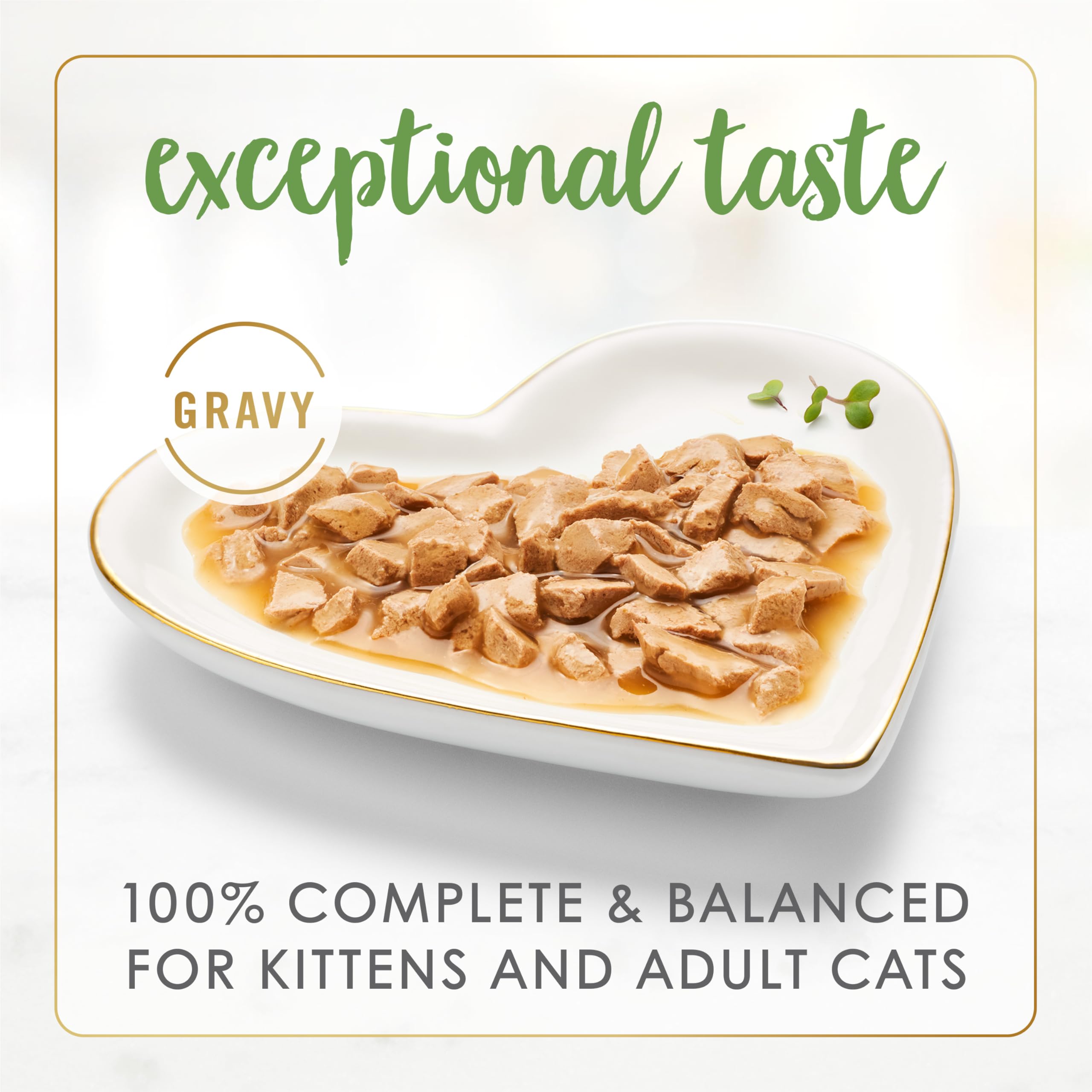 Fancy Feast Gravy Lovers Wet Cat Food, Salmon Feast in Gravy 85g (24 Pack) 🍁 All In One Marketplace Canada
