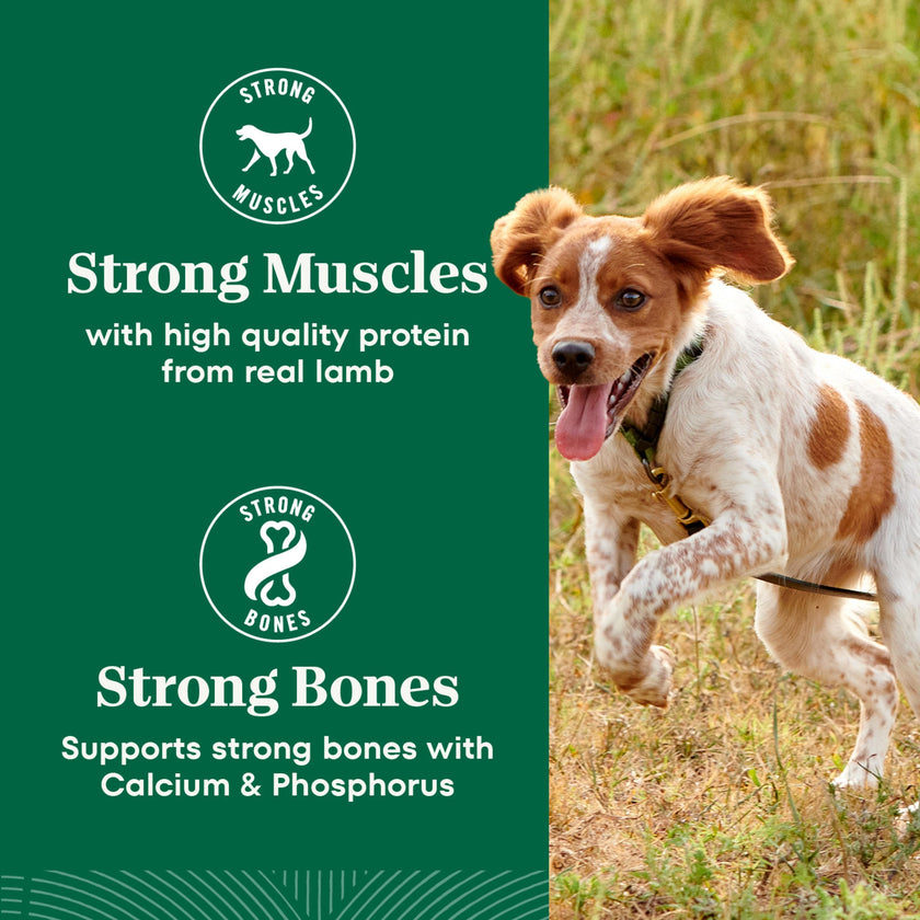 Nutro Natural Choice Adult Dry Dog Food, Lamb Flavour, 2.27kg 🍁 All In One Marketplace Canada