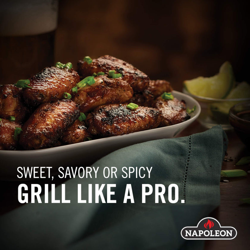 Napoleon Charcoal Starter (67800) 🍁 All In One Marketplace Canada