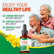 Easment Mullein Leaf Extract Drops for Lungs – Herbal Supplement for Lung Cleanse, Mucus & Phlegm Relief – Alcohol-Free Liquid 🍁 All In One Marketplace Canada