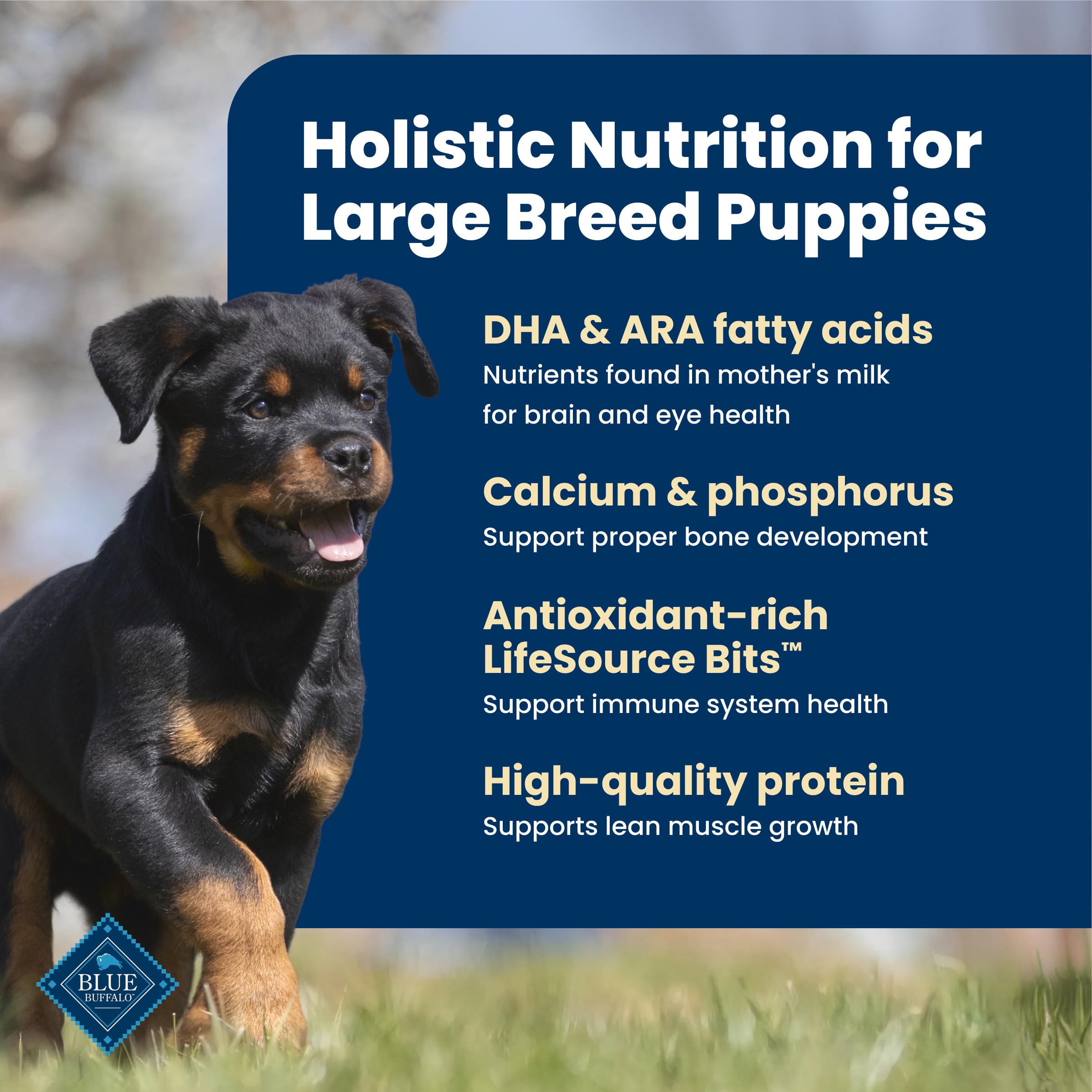 Blue Buffalo Life Protection Formula Chicken & Brown Rice Large Breed Puppy Dry Dog Food with DHA & ARA, Supports Immunity with LifeSource Bits, Promotes Healthy Muscles & Strong Bones, 11.7kg/26 lbs 🍁 All In One Marketplace Canada