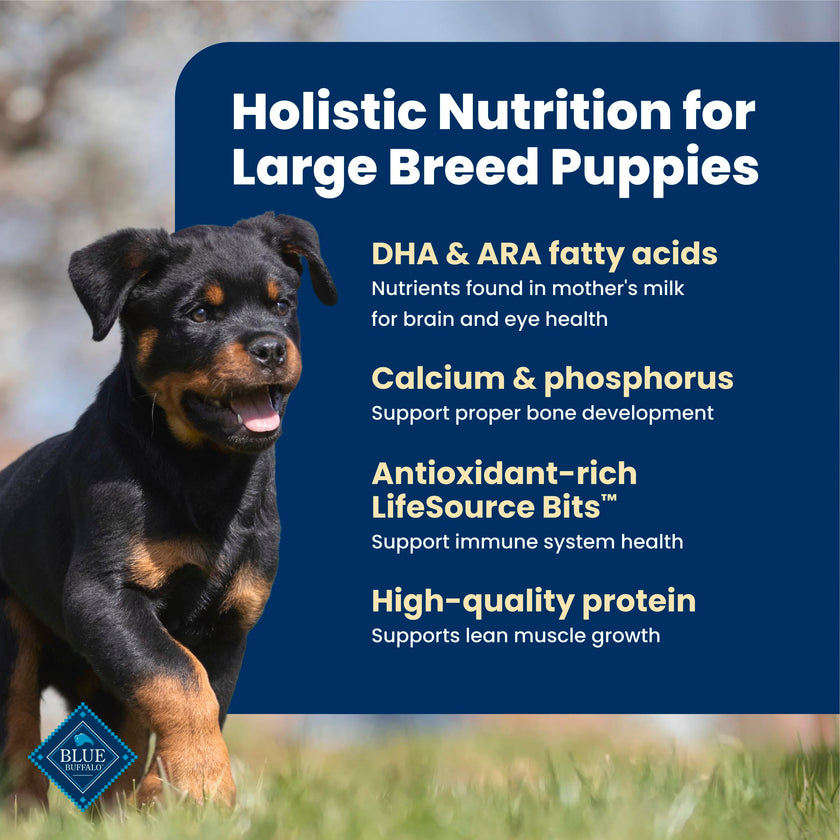 Blue Buffalo Life Protection Formula Chicken & Brown Rice Large Breed Puppy Dry Dog Food with DHA & ARA, Supports Immunity with LifeSource Bits, Promotes Healthy Muscles & Strong Bones, 11.7kg/26 lbs 🍁 All In One Marketplace Canada
